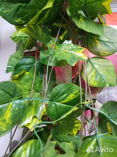 Искусственные цветы(лиана)