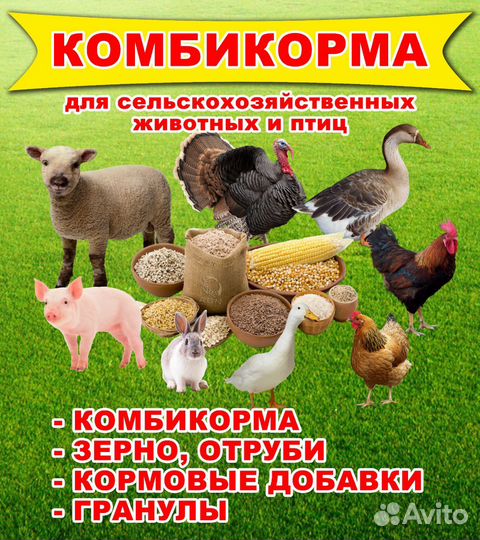 Корма для животных