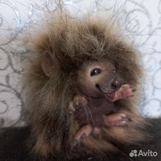 Ежик
