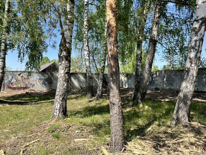 Участок 6 сот. (ИЖС)