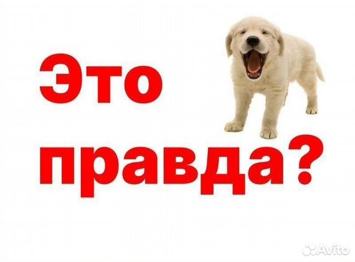 Пластиковые окна пвх под ключ. Супер окна