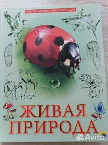 Живая природа для детей