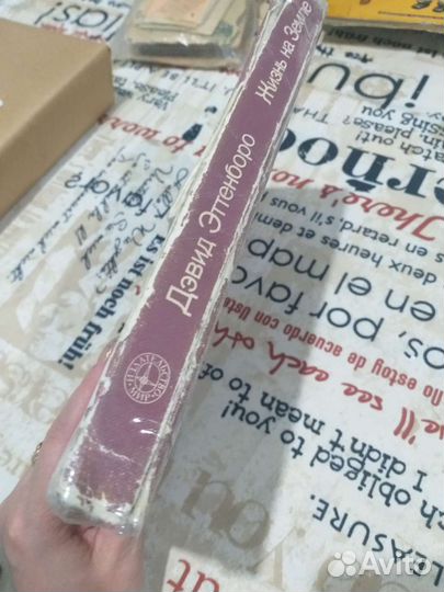 Жизнь на земле 1984г