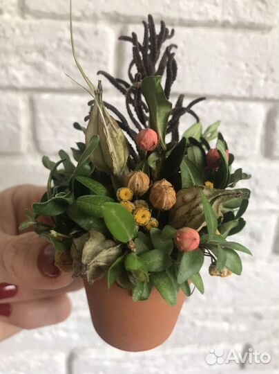 Букет из сухоцветов в кашпо