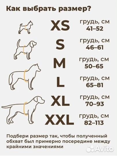 Шлейка для маленькой собаки