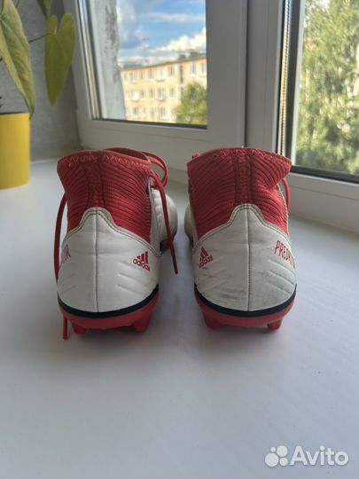 Бутсы adidas predator