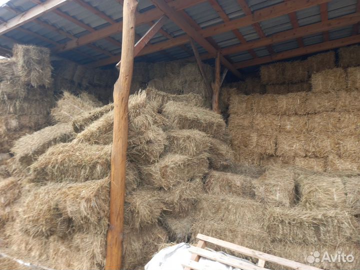 Сено и солома