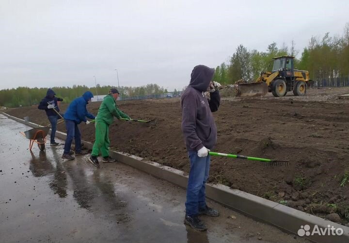Разнорабочие на копку. Благоустройство участка