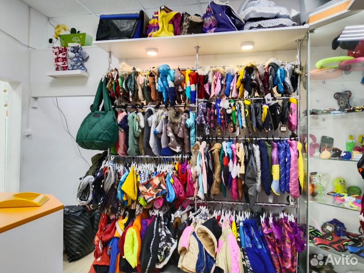 Одежда для собак