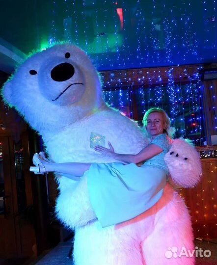 Белый мишка, поздравление Зеленоград