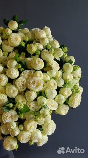 Розы Букет роз Пионовидные 15 шт