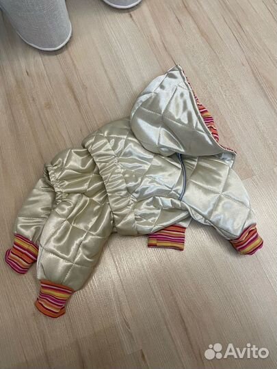 Осенний комбинезон для собак мелких пород