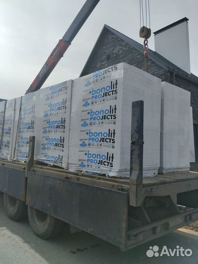 Газоблок 250 300