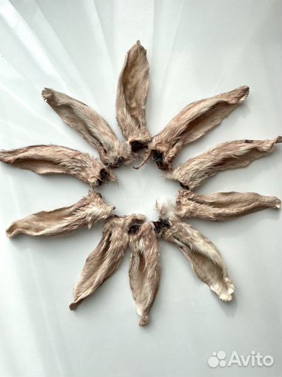 Натуральные лакомства для собак