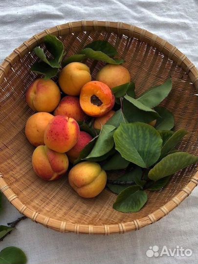 Духи Том форд персик кирки fleur molecules