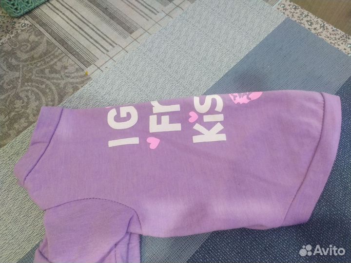 Одежда для собак мелких пород