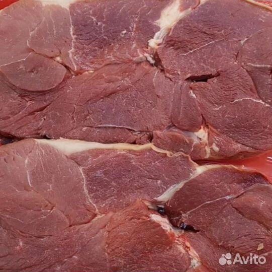 Мясо конины