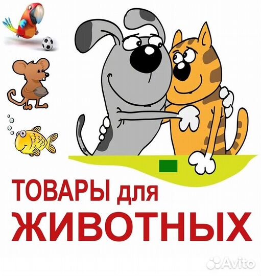 Зоогостиница для кошек