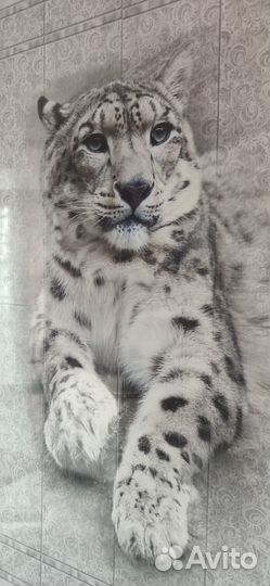 Фотопанно на панелях пвх