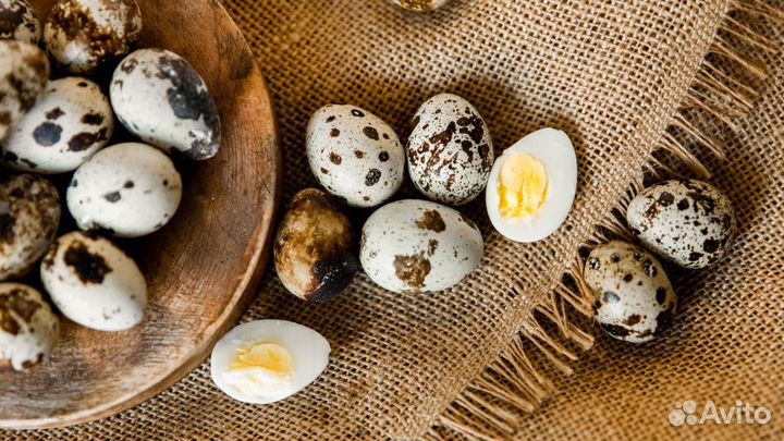 Яйца перепелиные домашние