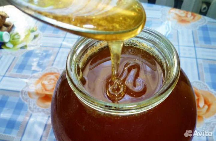 Пчелиная семья