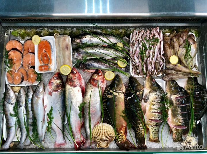 Готовый бизнес: рыбный магазин с доходом