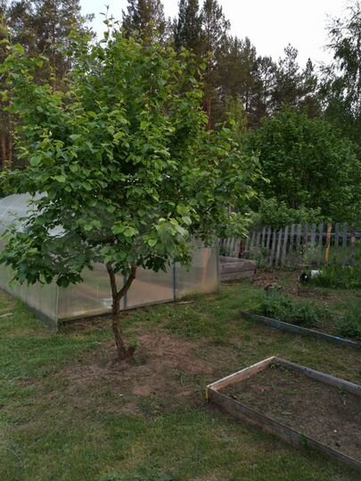 Дом 75 м² на участке 10 сот.