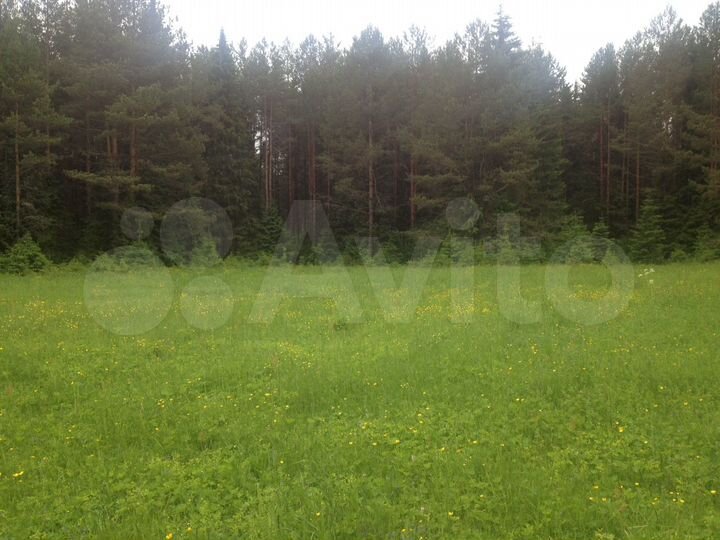 Участок 31 сот. (СНТ, ДНП)