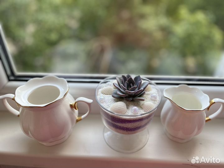 Композиция с живым суккулентом в подарок