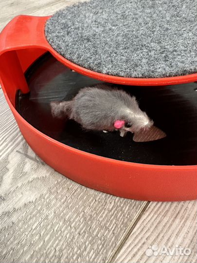 Игрушка для кошки