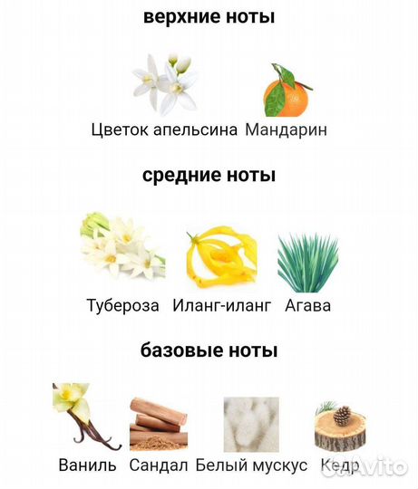 Memo marfa оригинал делюсь на распив