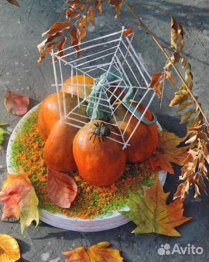 Торты на заказ Малоярославец/ tort and shoko