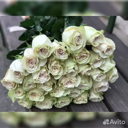 Букет из роз Pompei Премиум 70 см