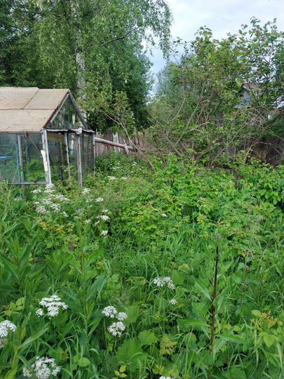 Участок 5 сот. (ИЖС)