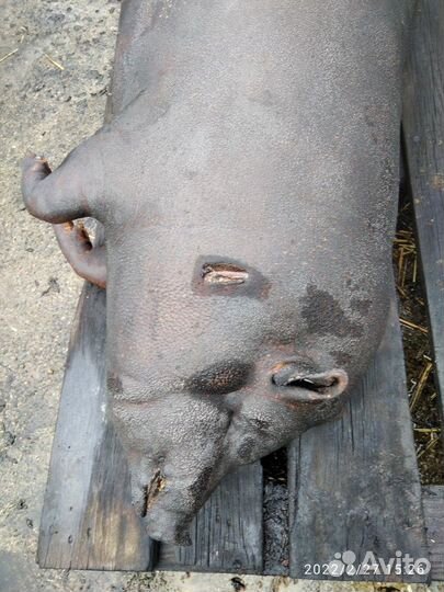 Забой домашнего скота