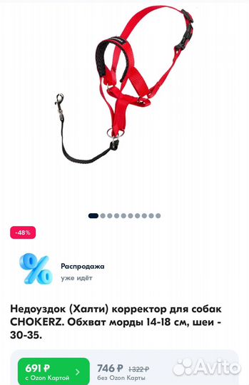 Халти для собак