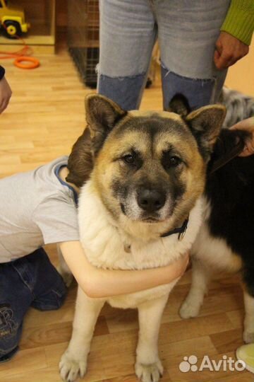 Консультация психолога