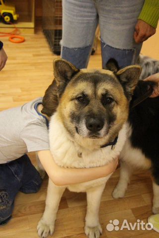 Консультация психолога