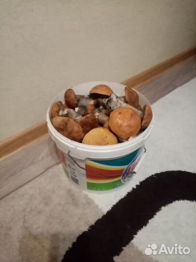 Грибы свежие красноголовики и волнушки