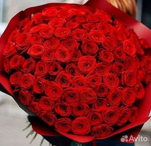 Розы Цветы Букеты 25 51 151 201 101 301 501 опт