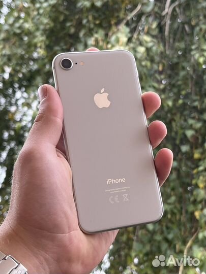 iPhone 8' 100 акб