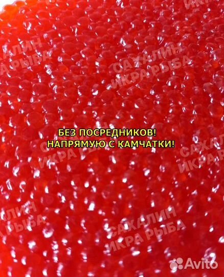 Красная икра