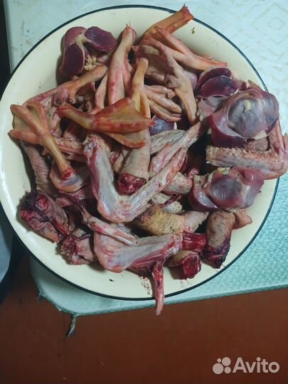 Утиные субпродукты