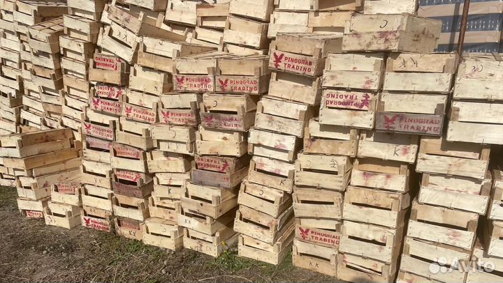 Ящик для ягод, фруктов или овощей деревянный