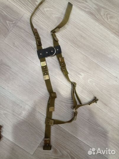 Амуниция для собак