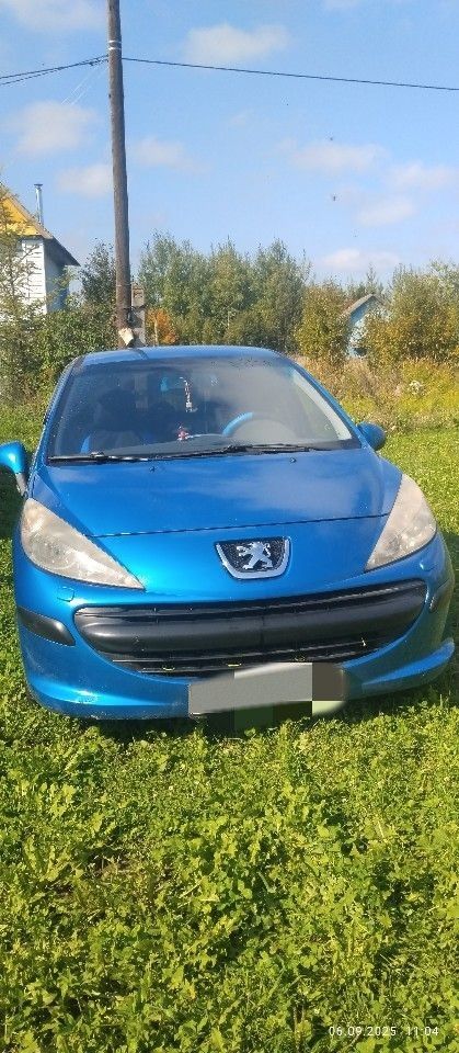 Peugeot 207: фото владельца