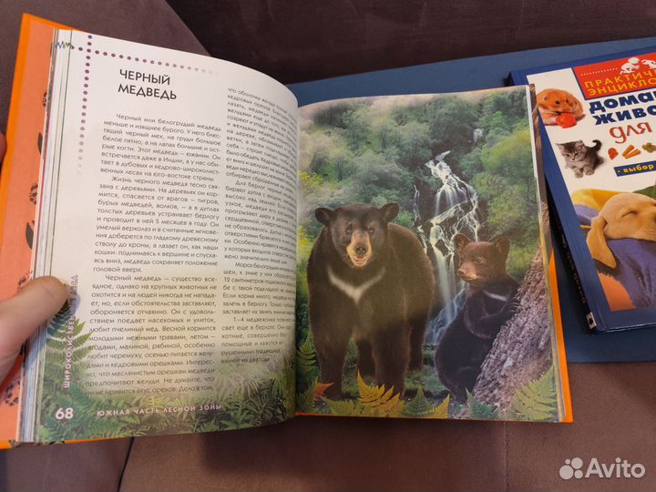 Энциклопедия животного мира,домашних животных