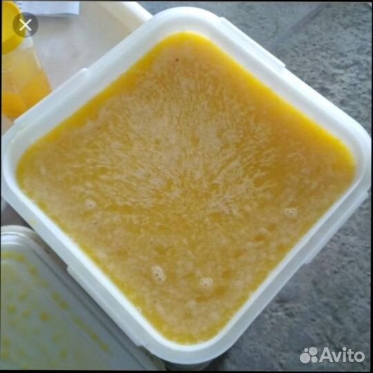 Донниковый Мед оптом