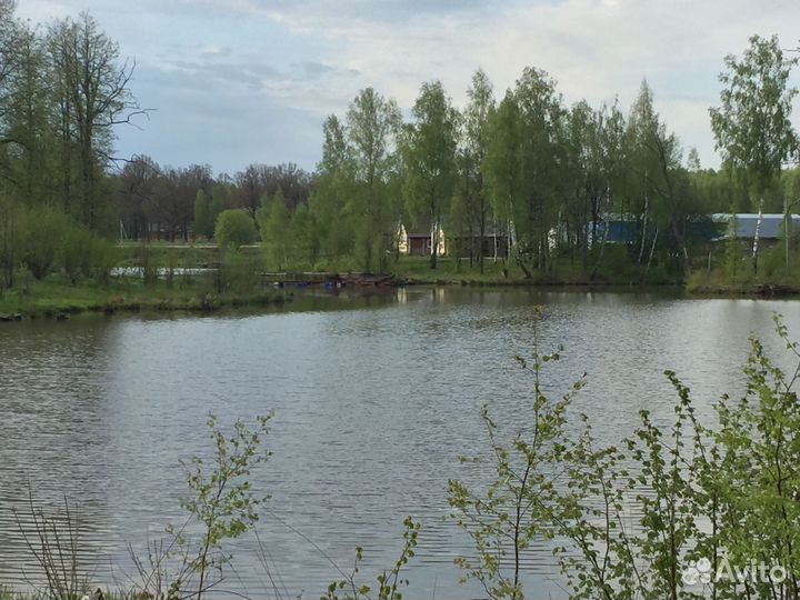 Охота на кабана