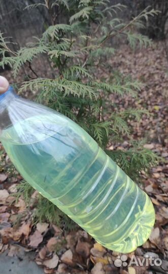 Солярка евро5 /лукоил / 2